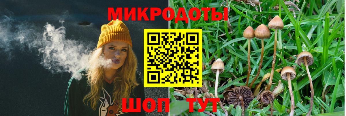 Псилоцибиновые грибы прущие грибы Казань